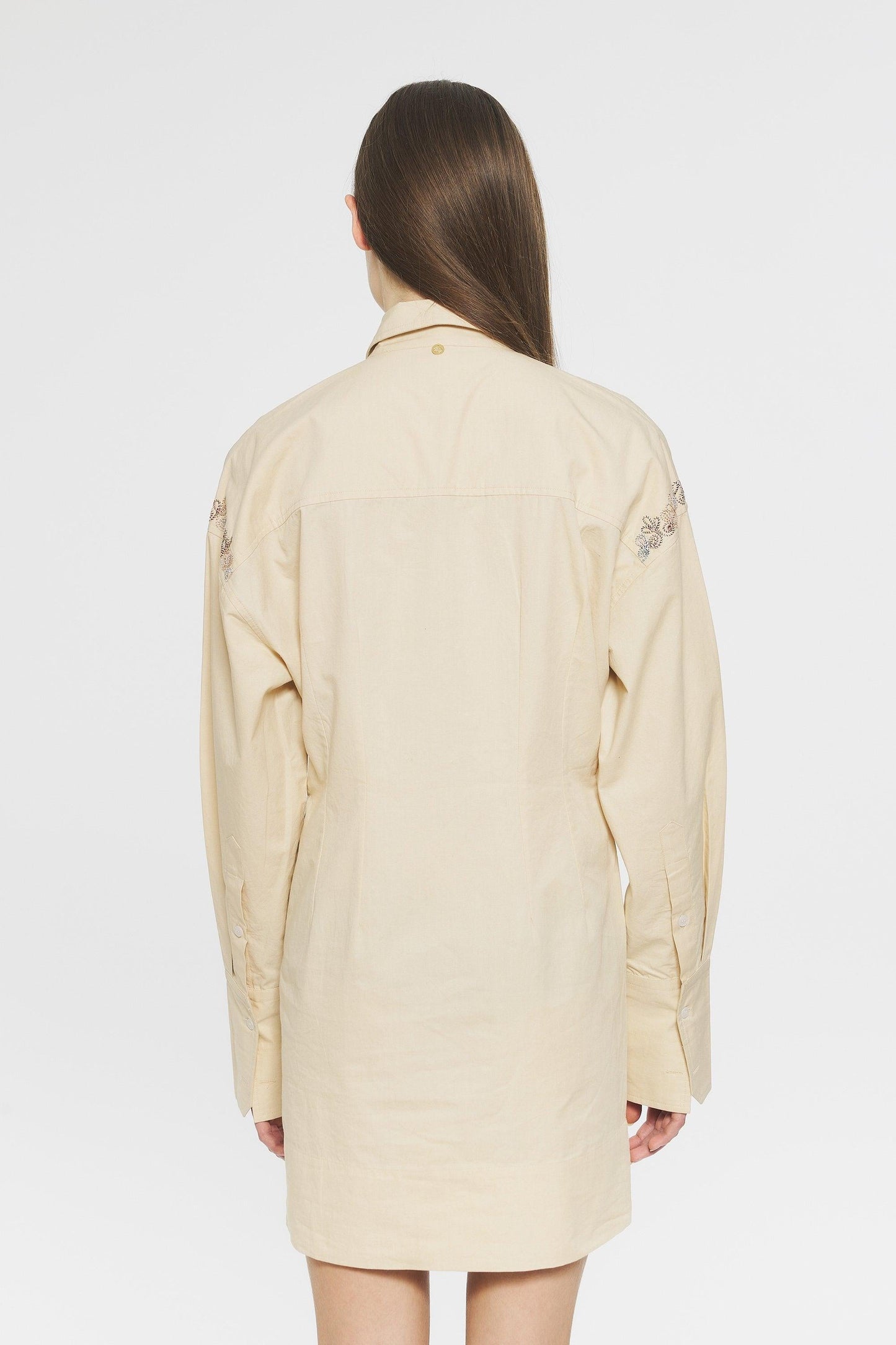 Ziggy Embroidered mini dress