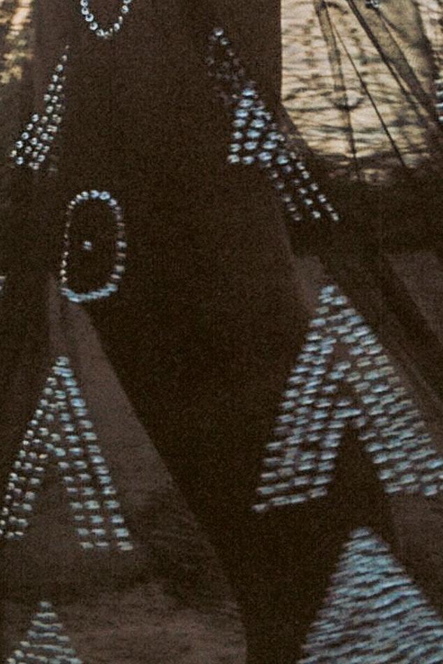 Palace sheer hand-embroidered dress