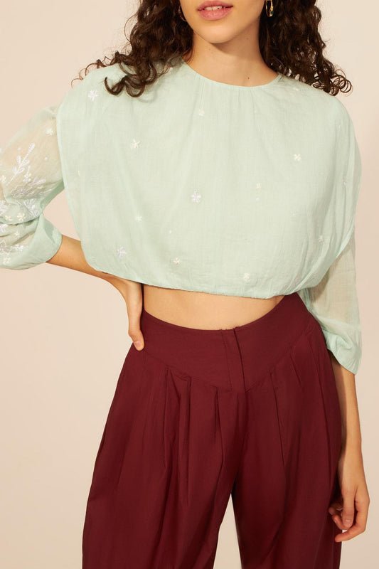 Anais backless crop top 