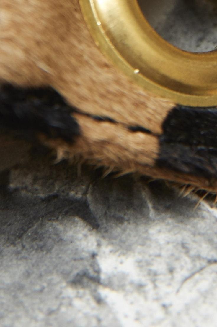 Riñonera Baguera Leopard