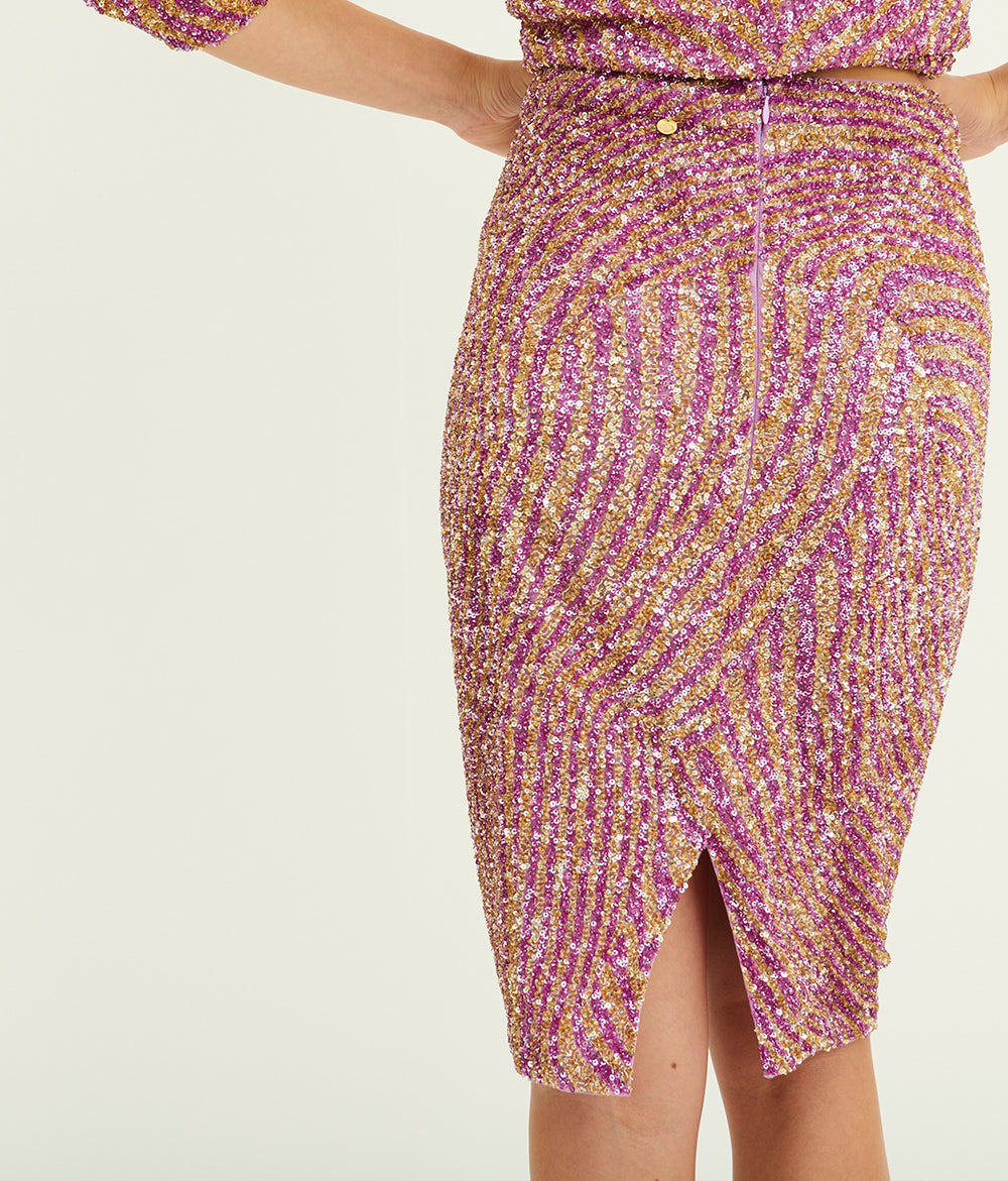 Jeanne embroidered sequin skirt